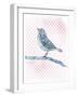 Willow Bird-null-Framed Giclee Print