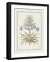 Willow Blue Besler II-Vision Studio-Framed Art Print