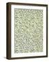 "Willow Bough" Wallpaper Design, 1887-William Morris-Framed Giclee Print