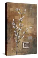 Willow Branch I-Michael Marcon-Stretched Canvas