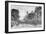 Willow Bridge Road, Canonbury, Islington, C.1905-null-Framed Giclee Print