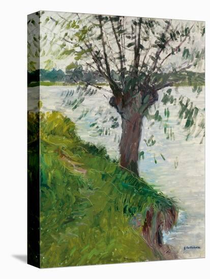 Willow by the River; Saule Au Bord De La Riviere, C. 1891-Gustave Caillebotte-Stretched Canvas