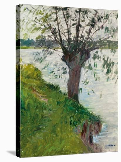 Willow by the River; Saule Au Bord De La Riviere, C. 1891-Gustave Caillebotte-Stretched Canvas