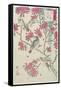 Willow, Cherry Blossoms, Sparrows and Swallow, Early 19th Century-Utagawa Hiroshige-Framed Stretched Canvas