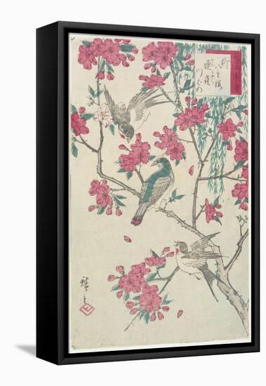 Willow, Cherry Blossoms, Sparrows and Swallow, Early 19th Century-Utagawa Hiroshige-Framed Stretched Canvas