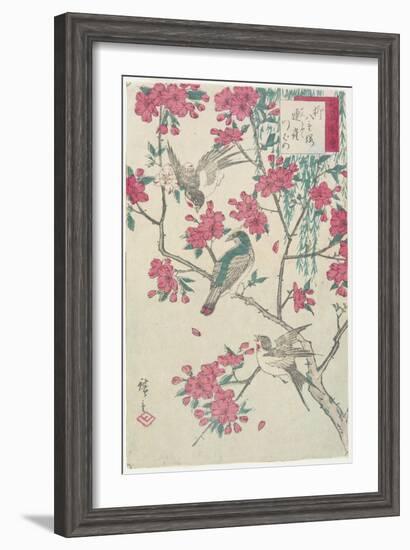 Willow, Cherry Blossoms, Sparrows and Swallow, Early 19th Century-Utagawa Hiroshige-Framed Giclee Print