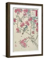 Willow, Cherry Blossoms, Sparrows and Swallow, Early 19th Century-Utagawa Hiroshige-Framed Giclee Print