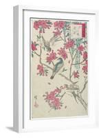 Willow, Cherry Blossoms, Sparrows and Swallow, Early 19th Century-Utagawa Hiroshige-Framed Giclee Print