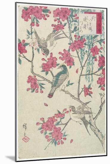 Willow, Cherry Blossoms, Sparrows and Swallow, Early 19th Century-Utagawa Hiroshige-Mounted Giclee Print