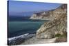 Willow Creek and Big Sur Coastline-Stuart-Stretched Canvas