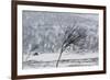 Willow Grouse (Lagopus Lagopus) Flock in Flight in Snow, Utsjoki, Finland, October-Markus Varesvuo-Framed Photographic Print