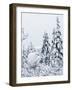 Willow grouse perched on branch, Kiilopaa, Inari, Finland-Markus Varesvuo-Framed Photographic Print