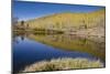 Willow Heights, United Park City Mines Company, Easement, Utah-Howie Garber-Mounted Photographic Print