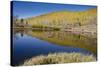 Willow Heights, United Park City Mines Company, Easement, Utah-Howie Garber-Stretched Canvas