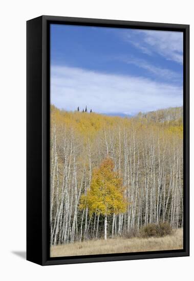 Willow Heights, United Park City Mines Company, Easement, Utah-Howie Garber-Framed Stretched Canvas