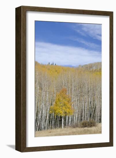 Willow Heights, United Park City Mines Company, Easement, Utah-Howie Garber-Framed Photographic Print