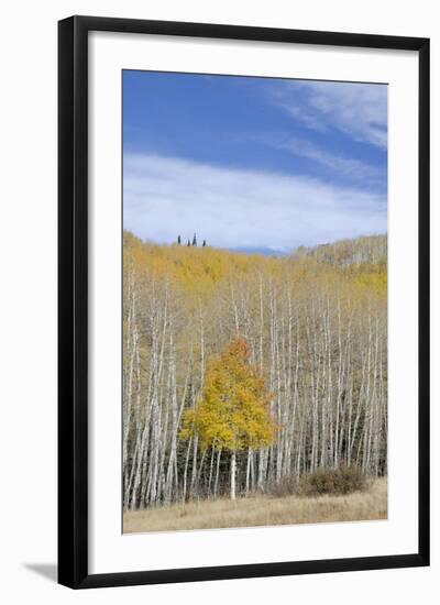 Willow Heights, United Park City Mines Company, Easement, Utah-Howie Garber-Framed Photographic Print