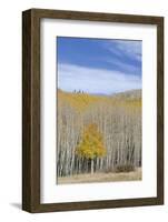 Willow Heights, United Park City Mines Company, Easement, Utah-Howie Garber-Framed Photographic Print