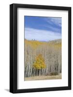 Willow Heights, United Park City Mines Company, Easement, Utah-Howie Garber-Framed Photographic Print