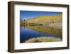 Willow Heights, United Park City Mines Company, Easement, Utah-Howie Garber-Framed Photographic Print