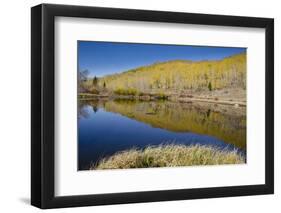 Willow Heights, United Park City Mines Company, Easement, Utah-Howie Garber-Framed Photographic Print