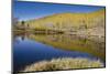 Willow Heights, United Park City Mines Company, Easement, Utah-Howie Garber-Mounted Photographic Print