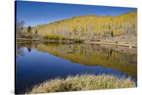 Willow Heights, United Park City Mines Company, Easement, Utah-Howie Garber-Stretched Canvas