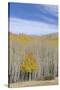 Willow Heights, United Park City Mines Company, Easement, Utah-Howie Garber-Stretched Canvas