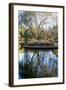 Willow in Fall-Tammy Putman-Framed Photographic Print