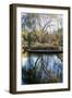 Willow in Fall-Tammy Putman-Framed Photographic Print
