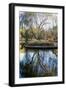 Willow in Fall-Tammy Putman-Framed Photographic Print