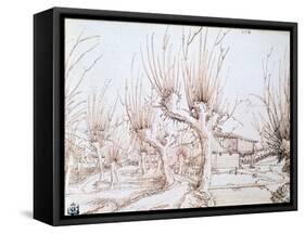 Willow Plantation, 1514-Wolf Huber-Framed Stretched Canvas