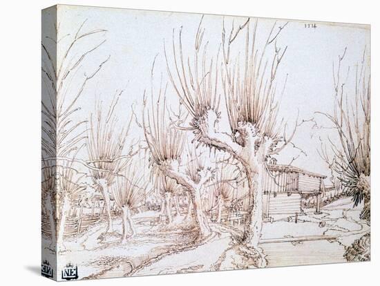 Willow Plantation, 1514-Wolf Huber-Stretched Canvas
