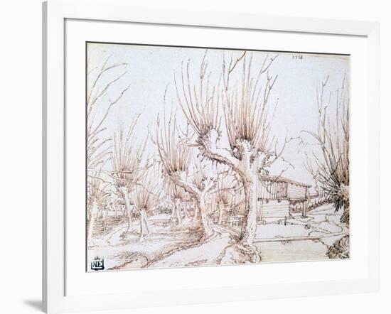 Willow Plantation, 1514-Wolf Huber-Framed Giclee Print