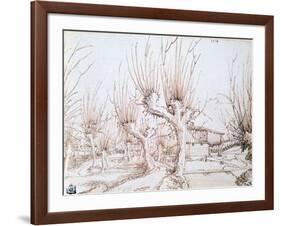 Willow Plantation, 1514-Wolf Huber-Framed Giclee Print