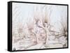 Willow Plantation, 1514-Wolf Huber-Framed Stretched Canvas