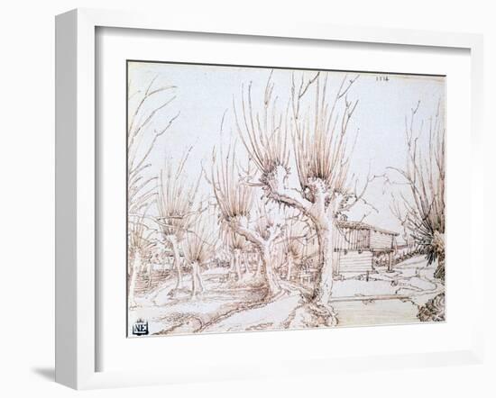 Willow Plantation, 1514-Wolf Huber-Framed Giclee Print