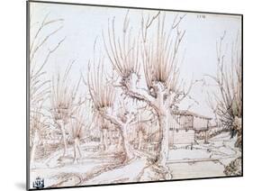 Willow Plantation, 1514-Wolf Huber-Mounted Giclee Print