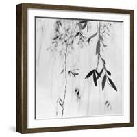 Willow Print No. 3-Nicholas Bell-Framed Photographic Print