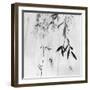 Willow Print No. 3-Nicholas Bell-Framed Photographic Print