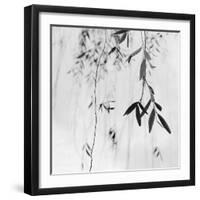 Willow Print No. 3-Nicholas Bell-Framed Photographic Print