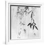 Willow Print No. 3-Nicholas Bell-Framed Photographic Print