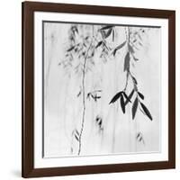 Willow Print No. 3-Nicholas Bell-Framed Photographic Print