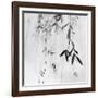 Willow Print No. 3-Nicholas Bell-Framed Photographic Print