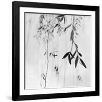 Willow Print No. 3-Nicholas Bell-Framed Photographic Print