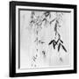 Willow Print No. 3-Nicholas Bell-Framed Photographic Print