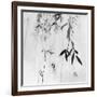 Willow Print No. 3-Nicholas Bell-Framed Photographic Print