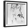 Willow Print No. 3-Nicholas Bell-Framed Photographic Print