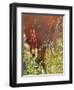 Willow Ptarmigan Amongst Tundra, Denali National Park, Alaska, USA-Hugh Rose-Framed Photographic Print