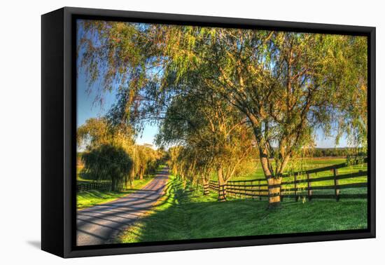 Willow Road-Robert Goldwitz-Framed Stretched Canvas